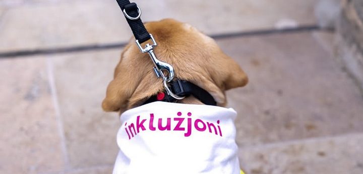 New €150,000 agreement signed for Service Dogs Malta Foundation