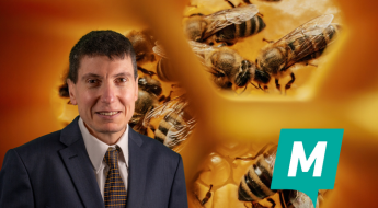 Momentum calls for national plan to protect Malta’s honeybees and support beekeepers Momentum calls for national plan to protect Malta’s honeybees and support beekeepers