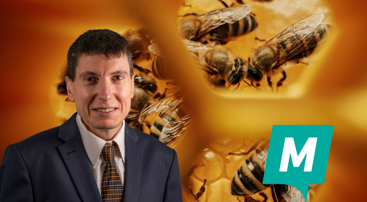 Momentum calls for national plan to protect Malta’s honeybees and support beekeepers Momentum calls for national plan to protect Malta’s honeybees and support beekeepers