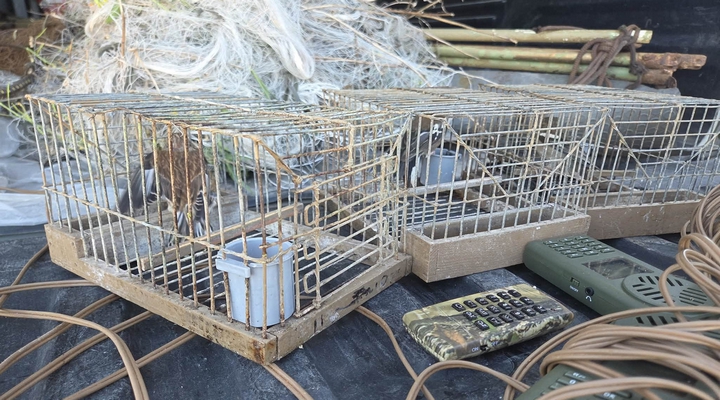 CABS criticises Government for authorising opening of finch trapping