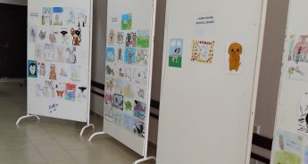 Children’s art exhibition to mark Gozo SPCA’s 50th anniversary