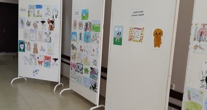 Children’s art exhibition to mark Gozo SPCA’s 50th anniversary