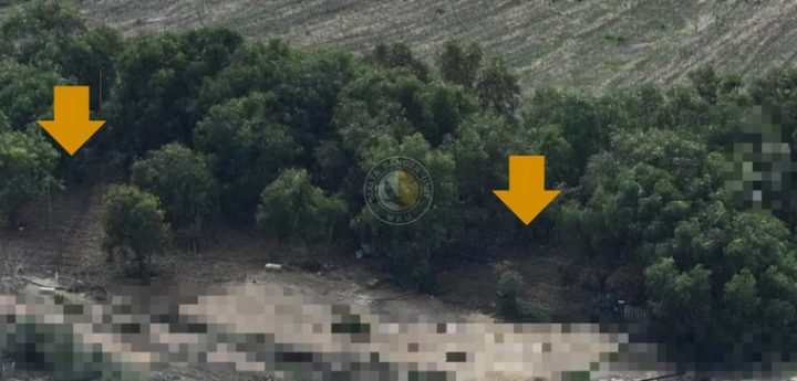 Three ”large illegal mistnets” confiscated in Gozo – MRU